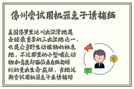 亚洲中字幕日产2021草莓